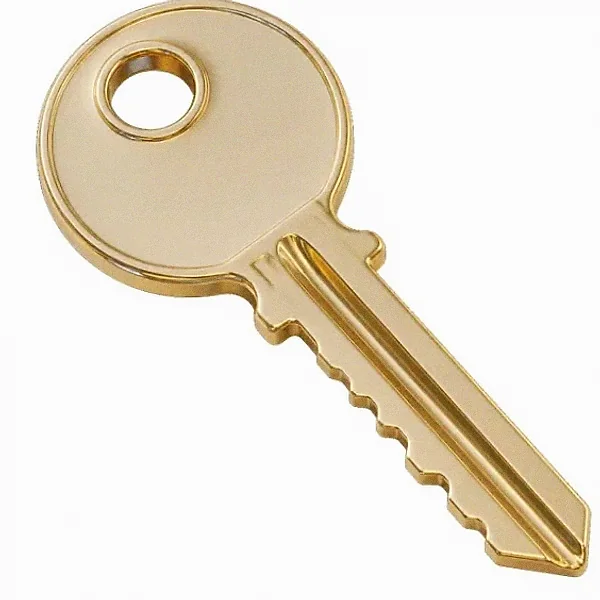 Metal key — Fortunica