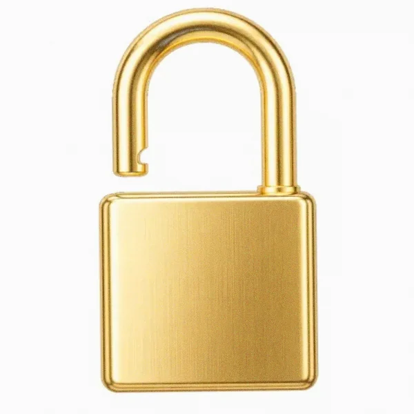 Padlock — Fortunica