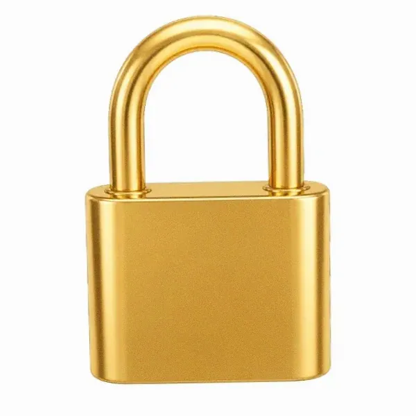 Orange padlock — Fortunica