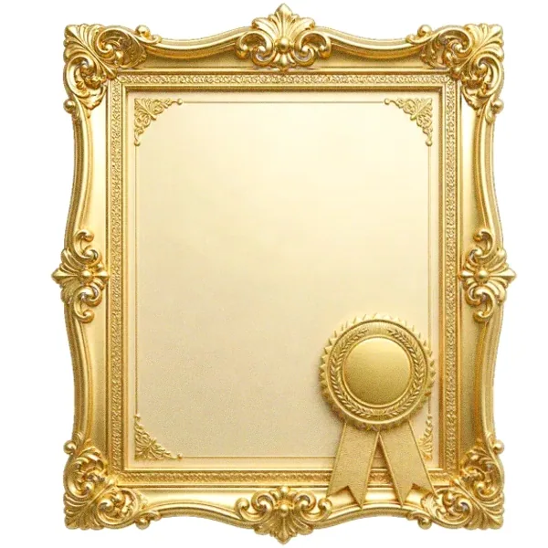 Framed certificate — Fortunica