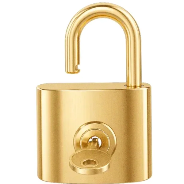 Open padlock — Fortunica