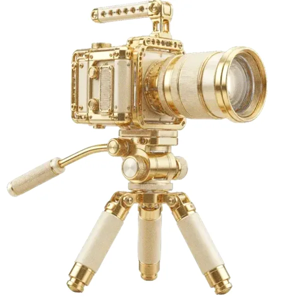 Camera on tripod — Fortunica